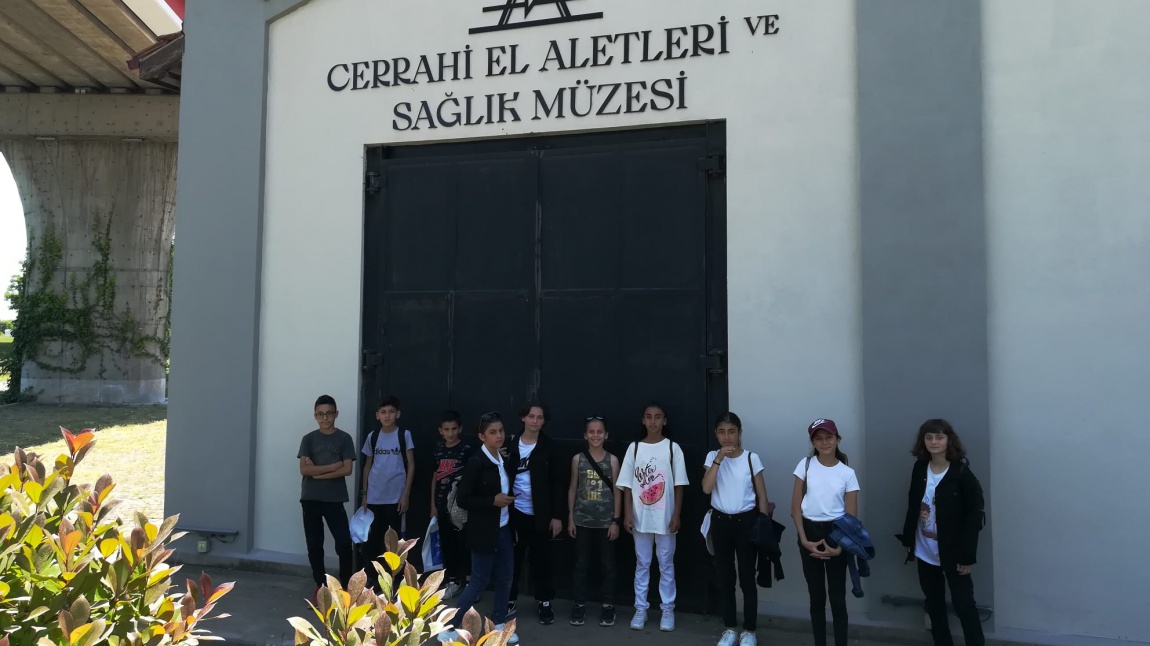Müze Gezisi